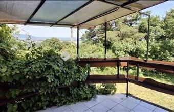 Eladó Tahitótfalui családi ház hirdetés (39476332)