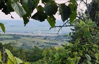 Eladó Pátyi hétvégi ház hirdetés (73993564)