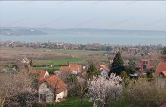 Eladó Zamárdi tégla lakás hirdetés (34452631)