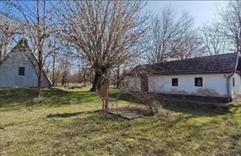 Eladó Lajosmizsei egyéb ház hirdetés (37141493)