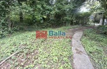 Eladó Balatonvilágosi egyéb telek hirdetés (42622494)