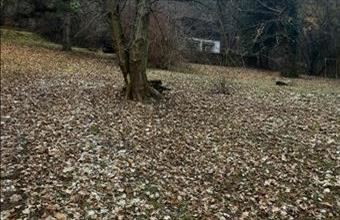 Eladó Lesencefalui hétvégi ház hirdetés (36424926)