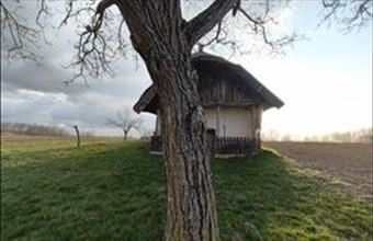 Eladó Buzsáki hétvégi ház hirdetés (72252136)