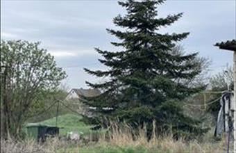 Eladó Budapest XXII. kerületi egyéb mezőgazdasági ingatlan hirdetés (12457933)