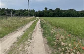 Eladó Monori egyéb mezőgazdasági ingatlan hirdetés (34827396)