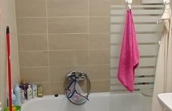 Eladó Budapest VIII. kerületi tégla lakás hirdetés (52633533)