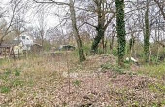 Eladó Ráckevei üdülőövezeti telek hirdetés (37432539)