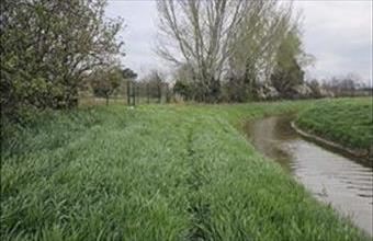 Eladó Győri lakóövezeti telek hirdetés (33442446)