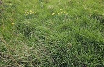 Eladó Győri lakóövezeti telek hirdetés (88437592)