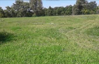 Eladó Budapest II. kerületi lakóövezeti telek hirdetés (84632921)