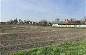 Eladó Lepsényi lakóövezeti telek hirdetés (44378492)