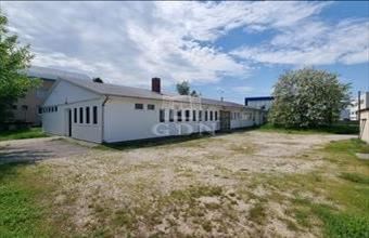 Kiadó Székesfehérvári egyéb üzlethelyiség hirdetés (18418326)