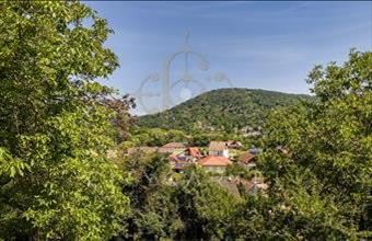 Eladó Verőcei családi ház hirdetés (96362739)