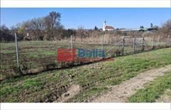 Eladó Csajági egyéb telek hirdetés (56493433)