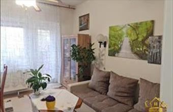 Eladó Tököli családi ház hirdetés (19534939)