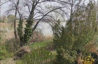 Eladó Délegyházai családi ház hirdetés (53544753)