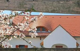 Eladó Balatonalmádi hétvégi ház hirdetés (22329717)