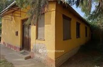 Eladó Csanyteleki családi ház hirdetés (77227273)