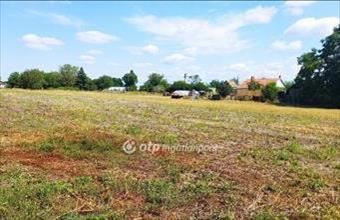 Eladó Szentesi lakóövezeti telek hirdetés (27455275)