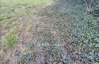 Eladó Szentesi lakóövezeti telek hirdetés (54295676)