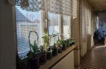 Eladó Zámolyi családi ház hirdetés (54722324)