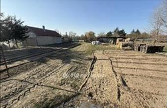 Eladó Tiszakécskei lakóövezeti telek hirdetés (62435467)