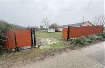 Eladó Tiszakécskei lakóövezeti telek hirdetés (35978126)