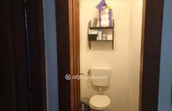 Eladó Vecsési családi ház hirdetés (33836645)