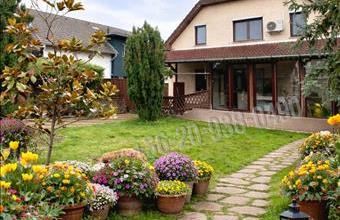 Eladó Budapest IV. kerületi családi ház hirdetés (42842733)