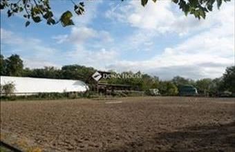 Eladó Kerepesi tanya hirdetés (92352781)