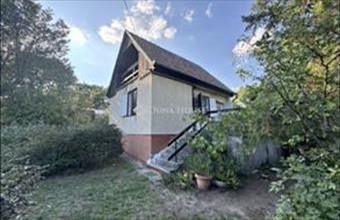 Eladó Szentendrei családi ház hirdetés (89675945)