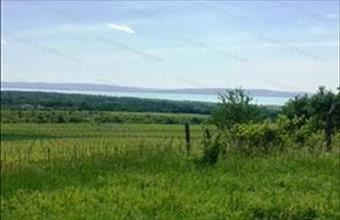 Eladó Dörgicsei egyéb mezőgazdasági ingatlan hirdetés (99868553)