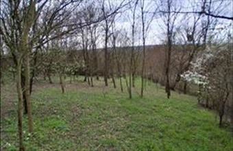 Eladó Szentgyörgyvári lakóövezeti telek hirdetés (49543324)