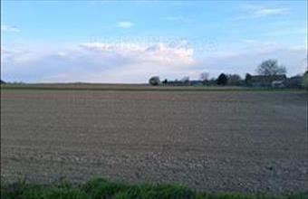 Eladó Zalavári lakóövezeti telek hirdetés (31779745)