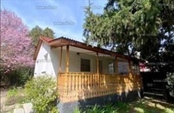 Eladó Szentendrei családi ház hirdetés (35939737)