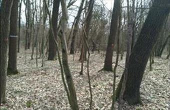 Eladó Zalaszántói lakóövezeti telek hirdetés (36214429)