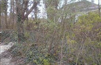 Eladó Csabrendeki lakóövezeti telek hirdetés (38441562)