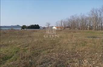 Eladó Gyáli lakóövezeti telek hirdetés (32246455)