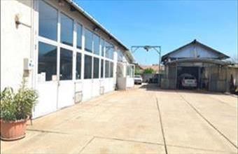 Kiadó Orosházai műhely hirdetés (46333537)