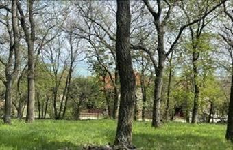 Eladó Balatonszepezdi termőföld, szántó hirdetés (53267739)