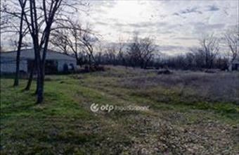 Eladó Rémi egyéb mezőgazdasági ingatlan hirdetés (42376973)