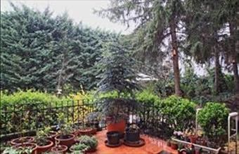 Eladó Budapest XV. kerületi egyéb lakás hirdetés (92384295)