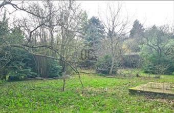 Eladó Szentendrei üdülőövezeti telek hirdetés (49754728)