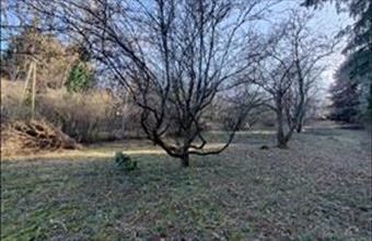 Eladó Tahitótfalui lakóövezeti telek hirdetés (23748492)