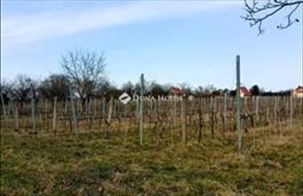 Eladó Pázmándi üdülőövezeti telek hirdetés (16473638)