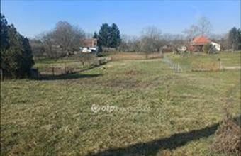 Eladó Nyíregyházai lakóövezeti telek hirdetés (15968344)