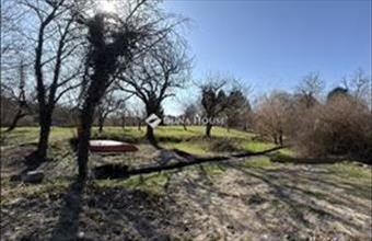 Eladó Vászolyi lakóövezeti telek hirdetés (27578942)