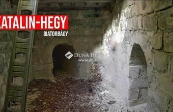 Eladó Biatorbágyi üdülőövezeti telek hirdetés (36317434)