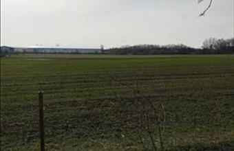 Eladó Tárnoki egyéb ipari ingatlan hirdetés (33887791)