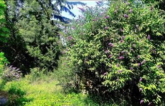 Eladó Pápasalamoni családi ház hirdetés (34344357)